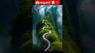 amazing dangerous snake  #respect #respectshorts #snake #youtubeshorts #shortsfeed #shorts