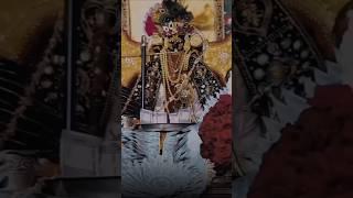 Sanwriya Seth Bhajan// Mharo Seth Rukhalo//Chotu Singh Rawna /CP Joshi / Parmen/ Gadi Ko Dalevar
