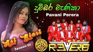 Dumbara Manika | Pavani Perera with Reverb Band | S & S Entertainment Hot Blast Season 01