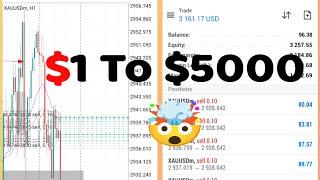 I Turned $1 into $5,000 Full Video (Proof!)"