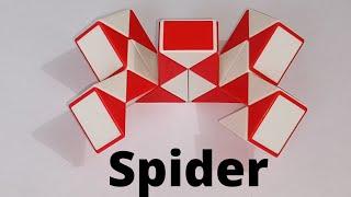 Make a Spider with Snake Cube