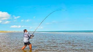 Surf Fishing with Live Crabs Pays off Big Time!