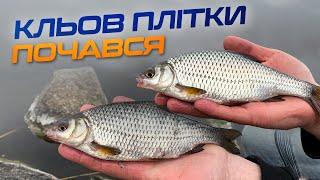  Передвесняна фідерна риболовля: ДЕ КЛЮЄ ПЛІТКА і на що її краще ловити?