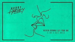 Bobby Harvey X ENV X Kate Wild - Never Gonna Let You Go [Lyric Video]