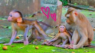 Score 10 on 10...baby monkey SARIKI make cute conversation so long.