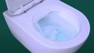 What are Rimless Toilets?