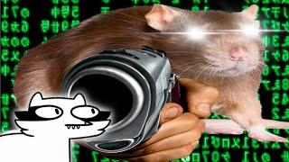 I talk to AI rat with gun