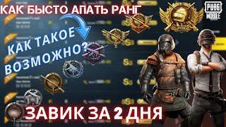 КАК БЫСТРО ПОДНЯТЬ РАНГ В PUBG MOBILE?|ИГРАЙ КАК ЧИТЕР|СХЕМА ФИШЕК РАНГА В   В pubg mobile 100%