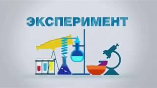 Как наточить нож без точильного камня? В домашних условиях. Своими руками