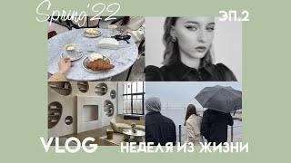 2. влог: неделя из жизни в Питере