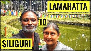 Lamahatta to Siliguri - North Bengal Bike Trip