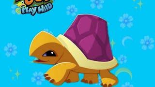 [ЧЕРЕПАХА НОВОЕ ЖИВОТНОЕ?!] /ANIMAL JAM PLAY WLID /