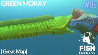 Feed And Grow Fish : Green Moray (Great Map)