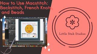 How to Use Macstitch or Winstitch Back Stitch Beads and French Knots