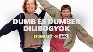 Dumb és Dumber - Dilibogyók - Ajánló AMC