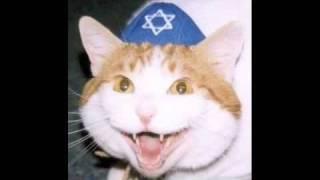 JewCat profile pic