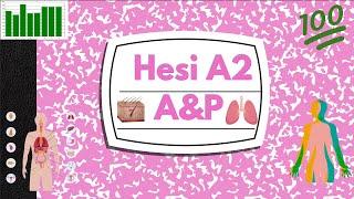 Hesi A2 Anantomy and Physiology Review