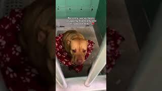 Please help my wife and I
