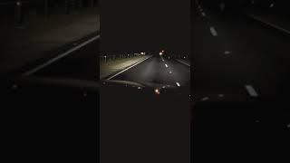 Kangaroo  gets hit!