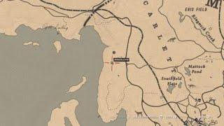 Red Dead Online - American wild flower chocolate daisy location - collector role