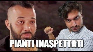 TEMPTATION ISLAND VIP: PIANTI INASPETTATI (PUNTATA 2) | ANTHONY IPANT'S