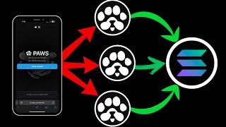 Multiple PAWS Account - DO THIS ASAP!! || PAWS Move to Solana