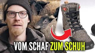 Schafschur - TIERQUÄLEREI oder notwendig?