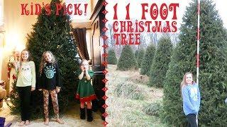 Kid's Pick an 11 Foot Christmas Tree! | Crazy8Family