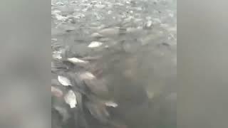 Рыбалка на Дальнем Востоке.