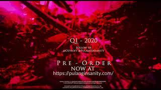 Pulang Insanity Teaser Trailer (Q1 2020)