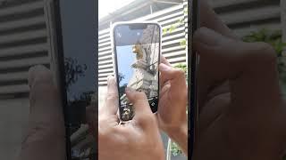 IPHONE 13 PRO ZOOM TEST 