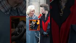 Camilla Humiliated as Princess Anne Catches Her Selling Queen's Horses After Funeral #shorts #kate