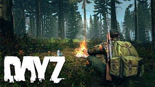 40 ЧАСОВ ВЫЖИВАНИЯ БЕЗ КЛАНОВ И РЕЙДОВ - КАК ОБРАЗ ЖИЗНИ В DAYZ