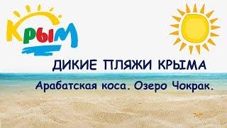 ДИКИЕ ПЛЯЖИ КРЫМА 2018. Арабатская коса. Озеро Чокрак.