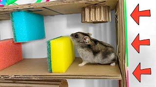 20-story hamster paradise! Labyrinth with traps and [OBSTACLE COURSE]