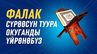 ФАЛАК СҮРӨӨСҮН ТУУРА ОКУГАНДЫ ҮЙРӨНӨБҮЗ