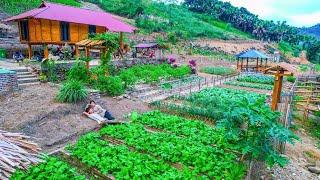 After Long Rainy Days: Harvest VEGETABLES and Fruits For Sale, Great Smoked Meats, The Biggest Farm