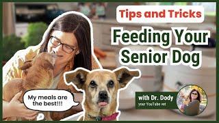 Watch how I transform my senior dog's food into a nutrient-packed meal!