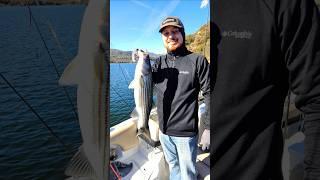 Alan catching a 6lb striped bass Silverwood California