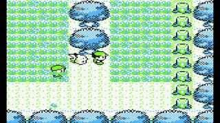 Level 100 Nidoking Glitch Pokemon Yellow