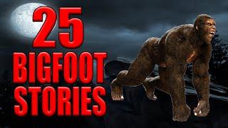 25 Bigfoot and Cryptid Stories_Best of Dixie Cryptid Vol 7