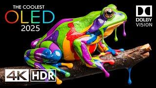 REAL 4K HDR 120 FPS Dolby Vision - 4K Video ULTRA HD