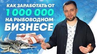 Как начать РЫБОВОДНЫЙ БИЗНЕС и зарабатывать от 1 000 000 рублей в год на УЗВ! | Бизнес ИДЕИ