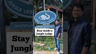 Stay inside Jungle lodge in Bandipur 