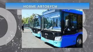 Новые автобусы