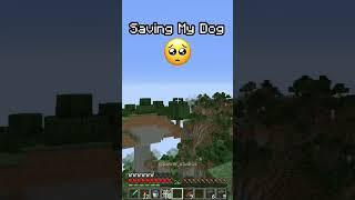 Saving my DOG in Minecraft  #shorts