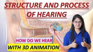 HUMAN EAR- STRUCTURE AND WORKING || WITH 3D ANIMATION || UNDERSTANDING THE SOUND JOURNEY