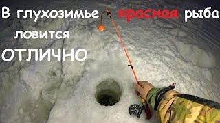 ОТЛИЧНАЯ РЫБАЛКА ПО КРАСНОЙ РЫБЕ / EXCELLENT FISHING FOR RED FISH