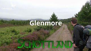 Aus dem Abernethy Forest durch die Steppe nach Glenmore - Cairngorms Trekking - Schottland - #05