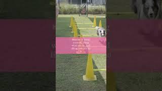 Elevate Your Day! | UpliftiMate's Daily Dose of Inspiration 
